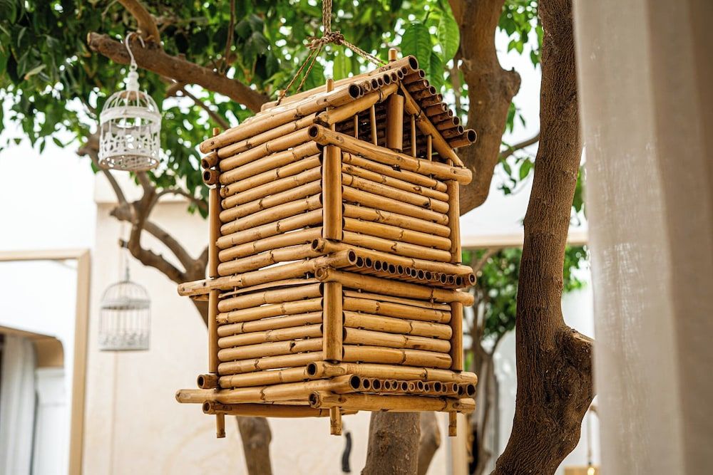 undefined Riad Les Orangers d'Alilia 4