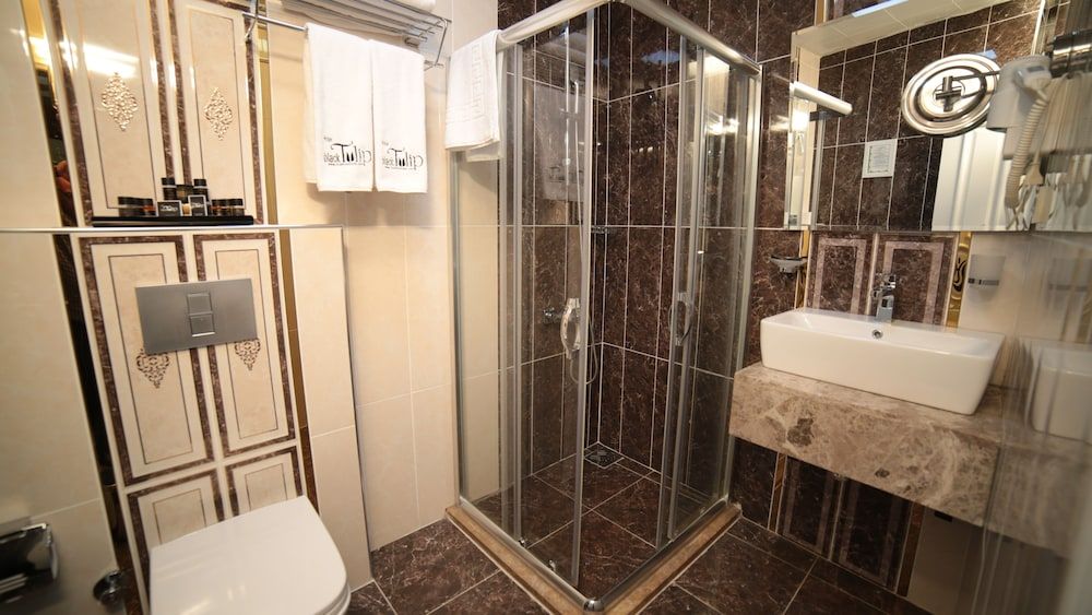 Hotel Black Tulip Economy Double Room 7