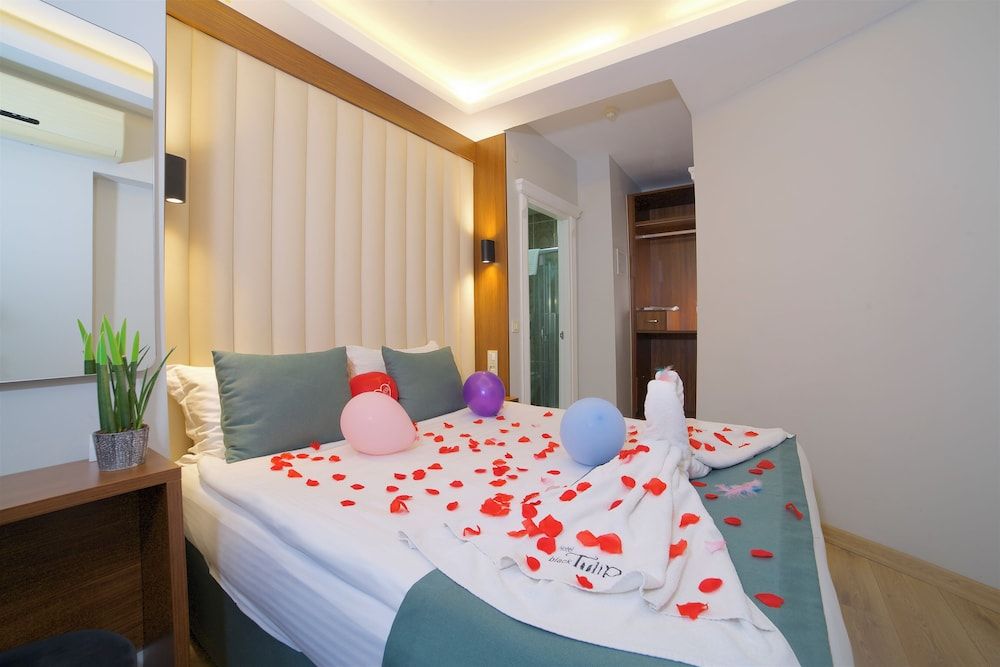 Hotel Black Tulip Economy Double Room 5