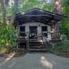 Cape Tribulation Beach House