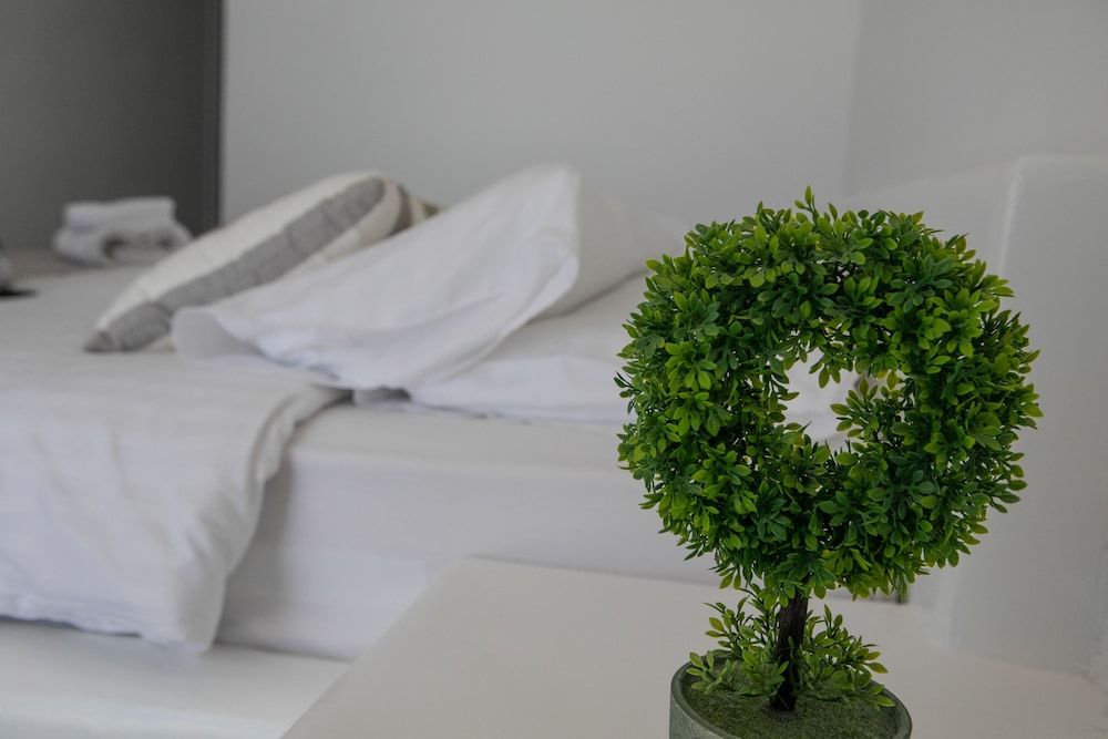 Acrogiali Beachfront Hotel Deluxe Double or Twin Room, Garden View 3