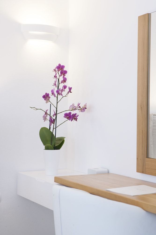 Anteliz Suites Standard Room 16