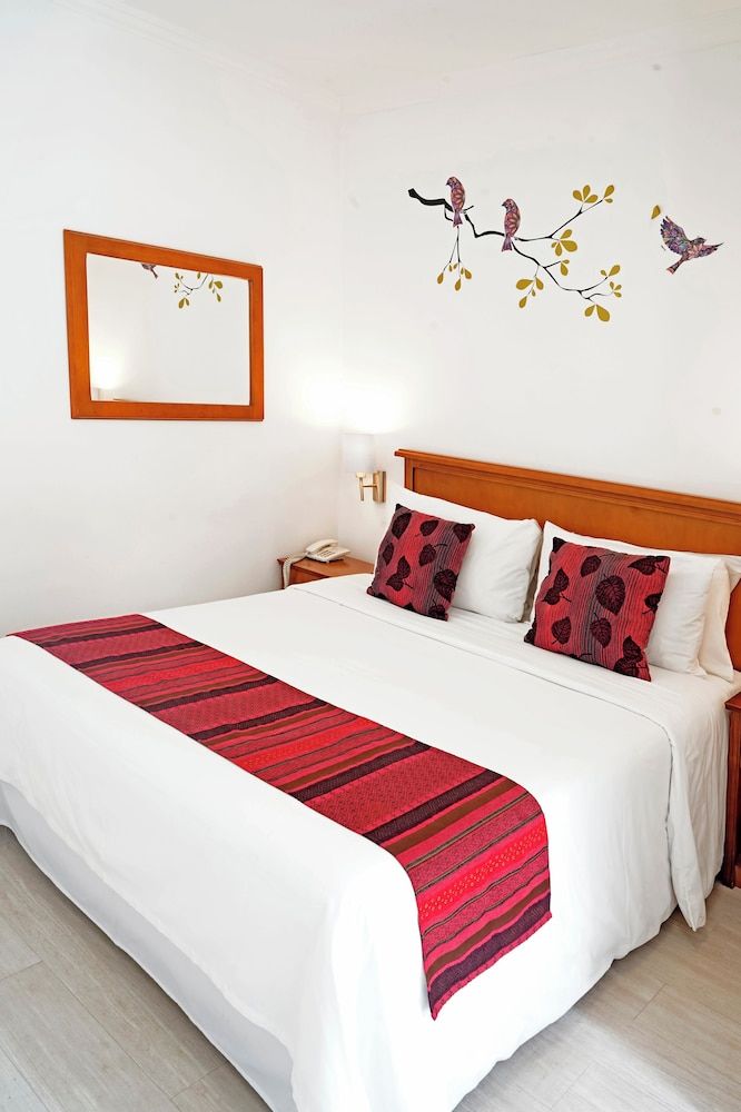 Hotel Romimar Standard Room 20