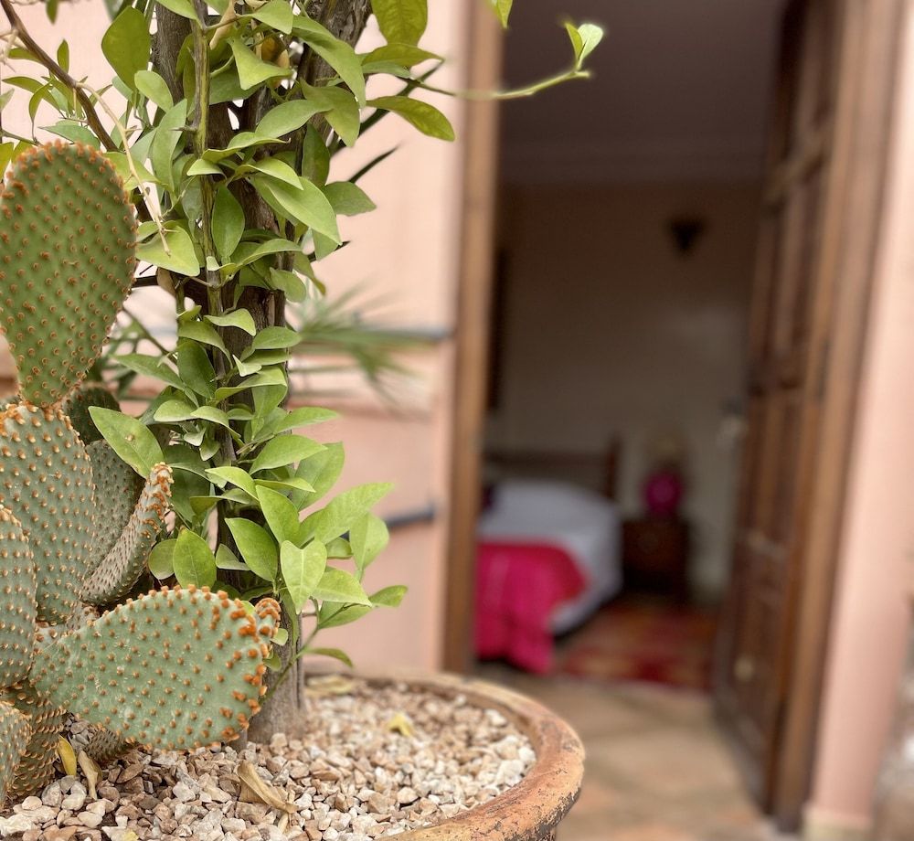 undefined Riad Elias 5