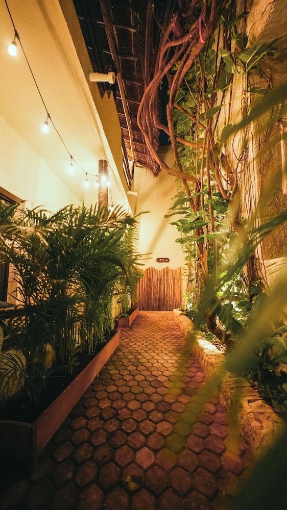 undefined Hotel Casa Colibri 9