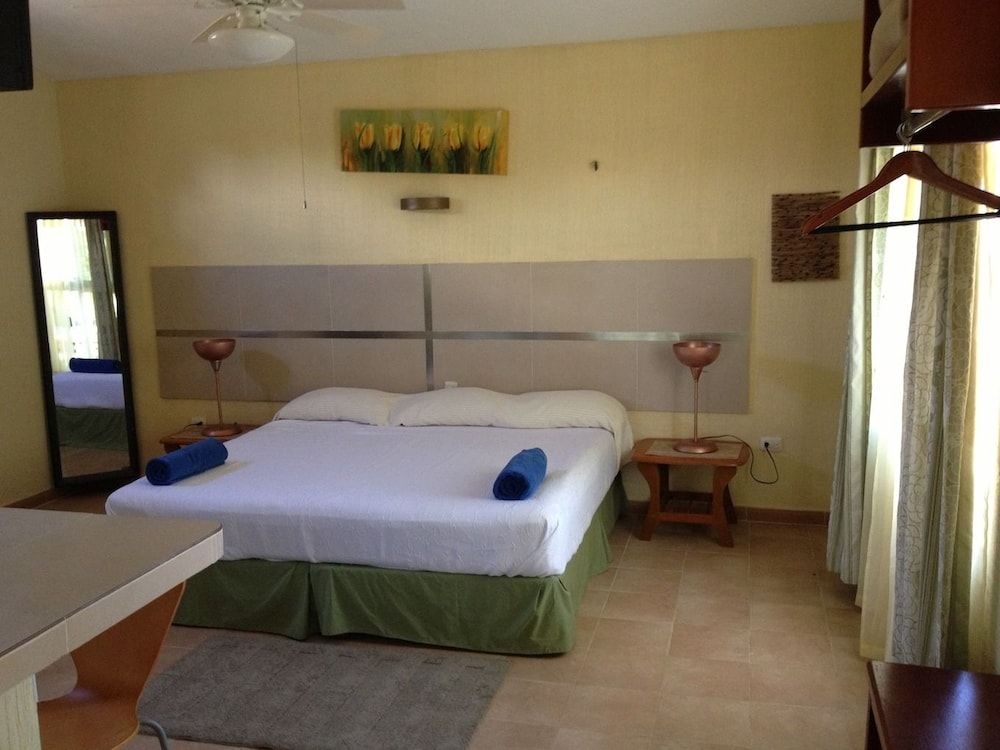 Suite, 1 King Bed