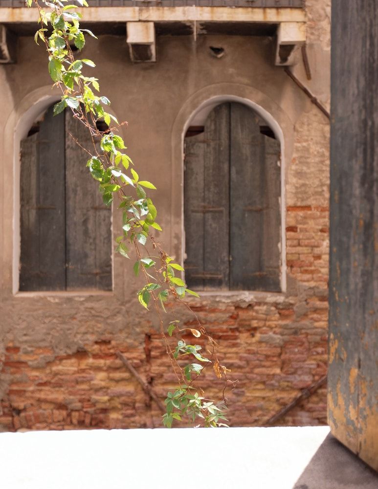 undefined Palazzetto Pisani 8