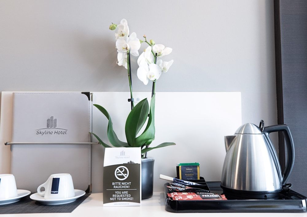 Skyline Hotel Basic Twin Room 13