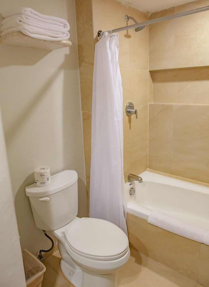 Reef Yucatan Hotel and Convention Center All Inclusive Standard Room, 1 King Bed, Garden View 8