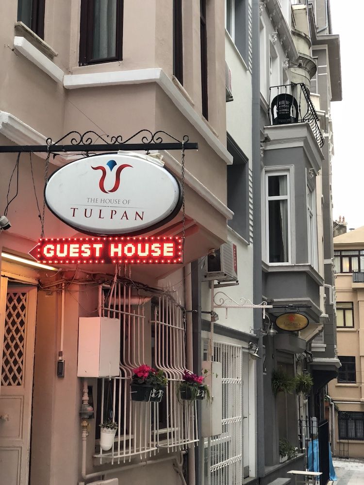 undefined The House of Tulpan 4