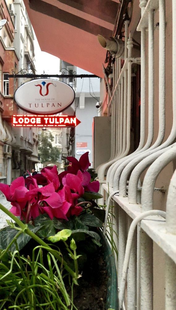 undefined The House of Tulpan 6