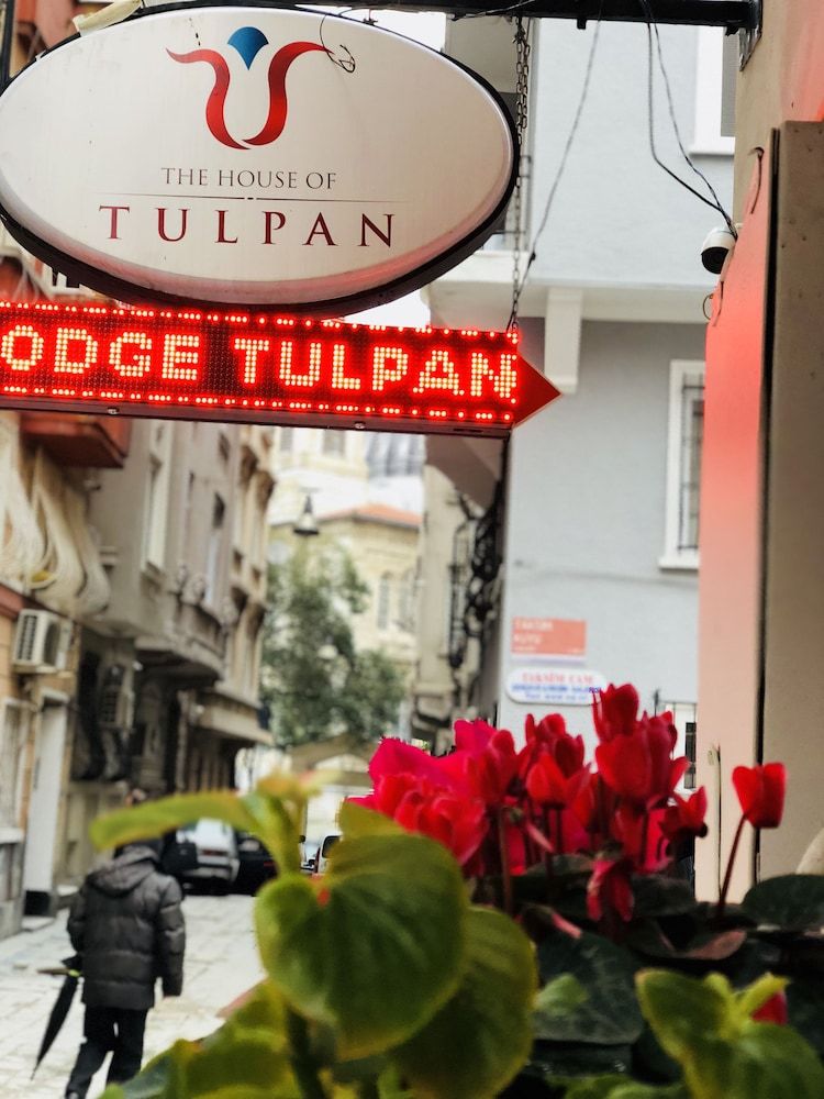 undefined The House of Tulpan 3