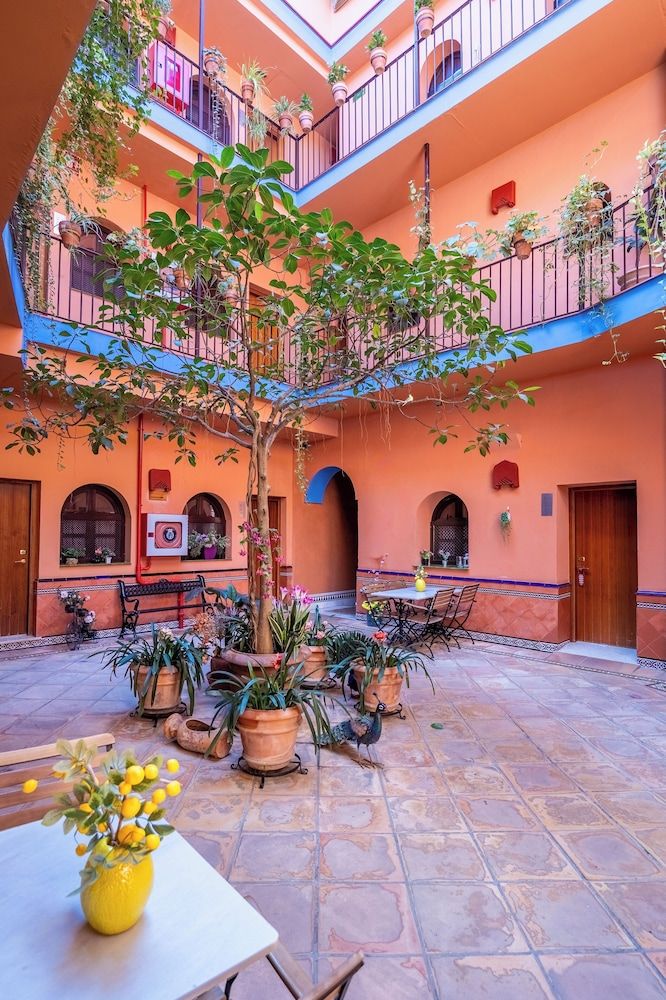 undefined Hotel Patio de la Alameda 5