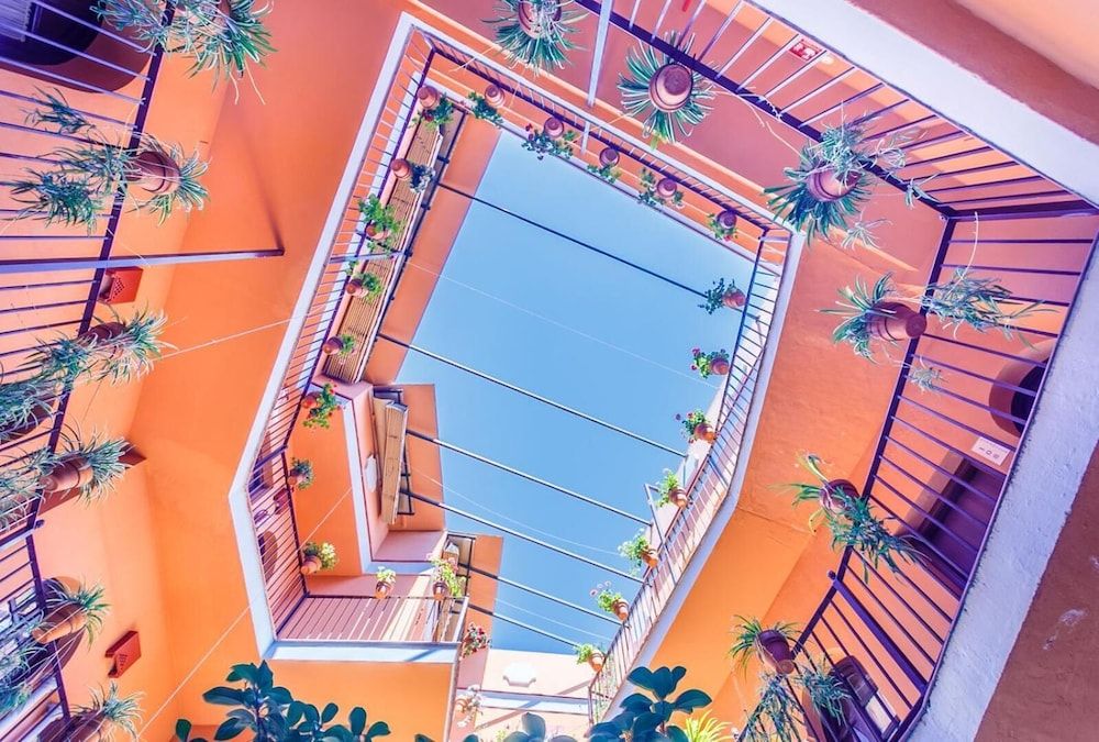 undefined Hotel Patio de la Alameda 7