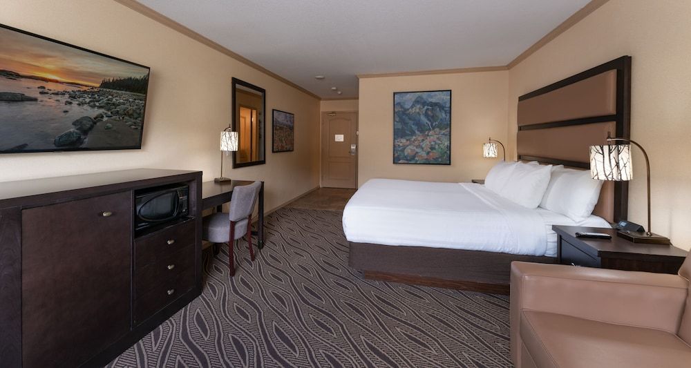Room, 1 King Bed