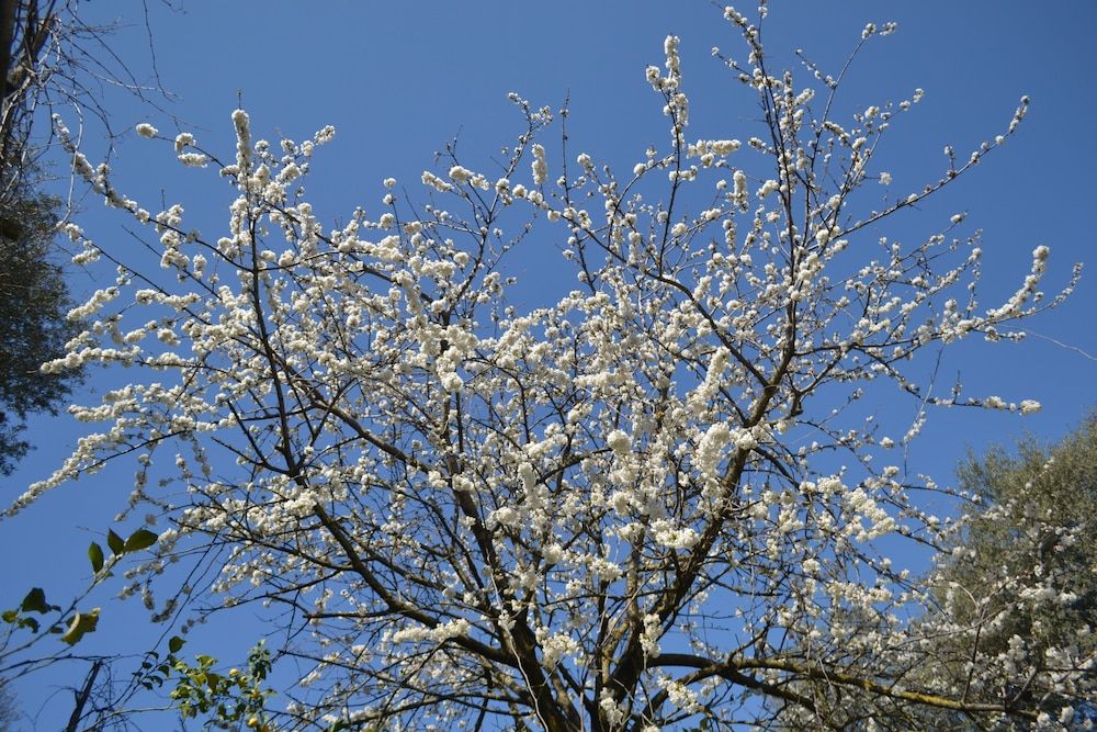 undefined Sorrento Experience 5