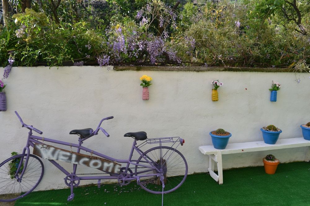 undefined Sorrento Experience 6