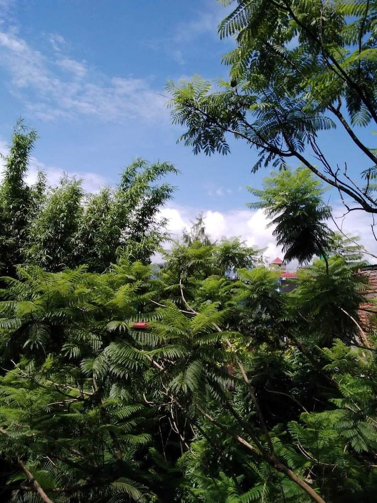 undefined Hotel Jal Mahal 10