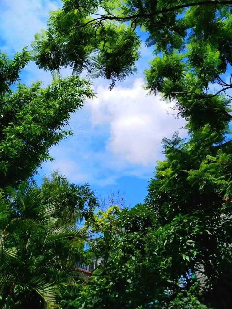 undefined Hotel Jal Mahal 5