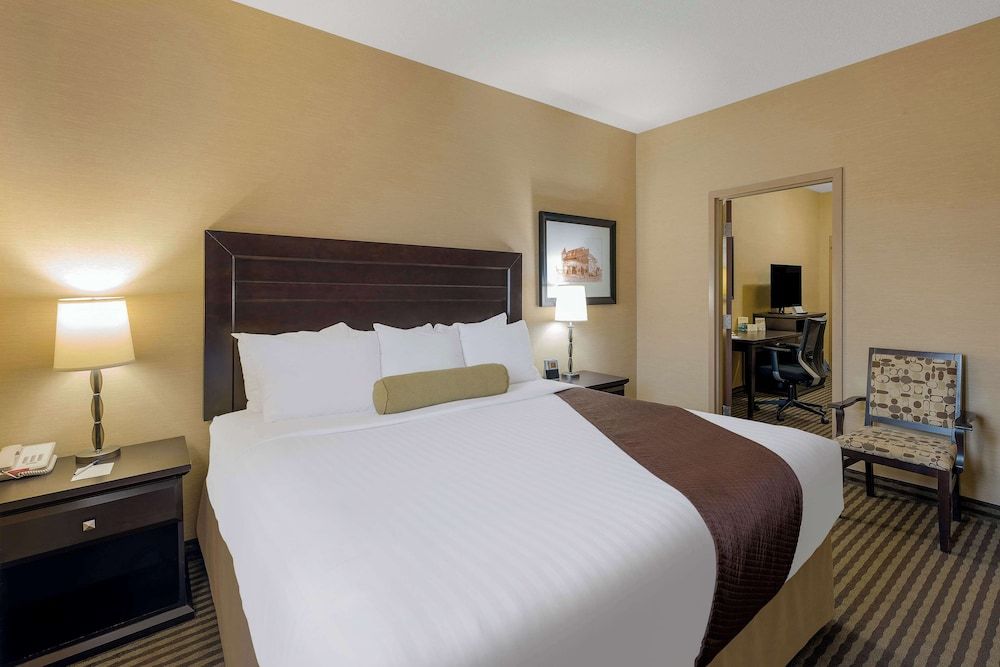 Standard Room, 1 King Bed, Non Smoking, Refrigerator & Microwave (Walk-in Shower;with Sofabed)