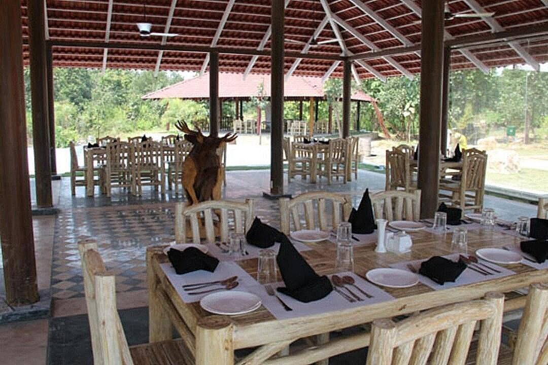 Food & Dining