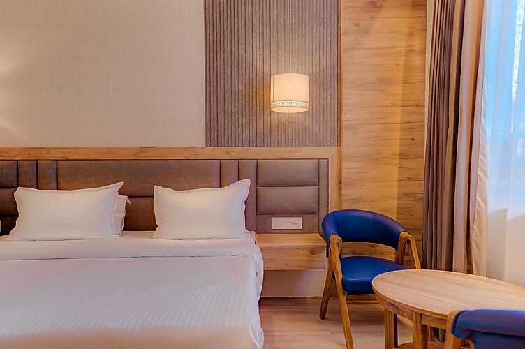 undefined Hotel Vasundhara Palace 8