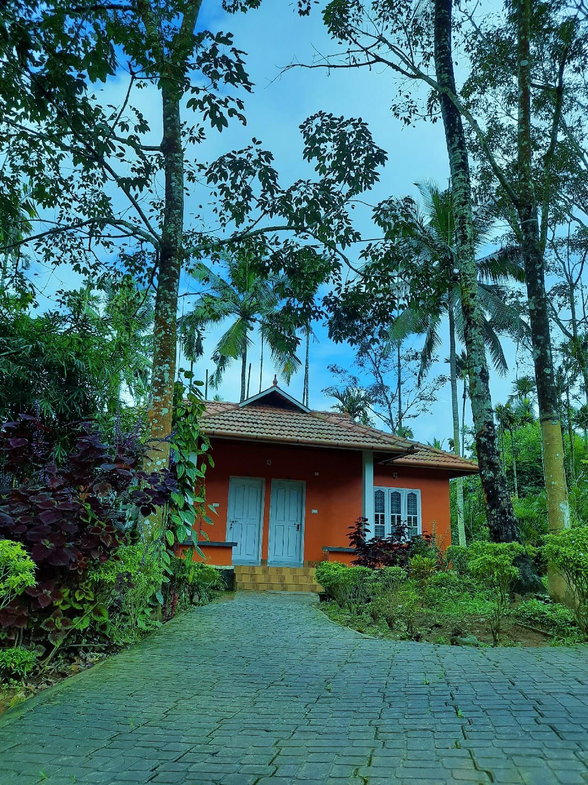 Surrounding environment