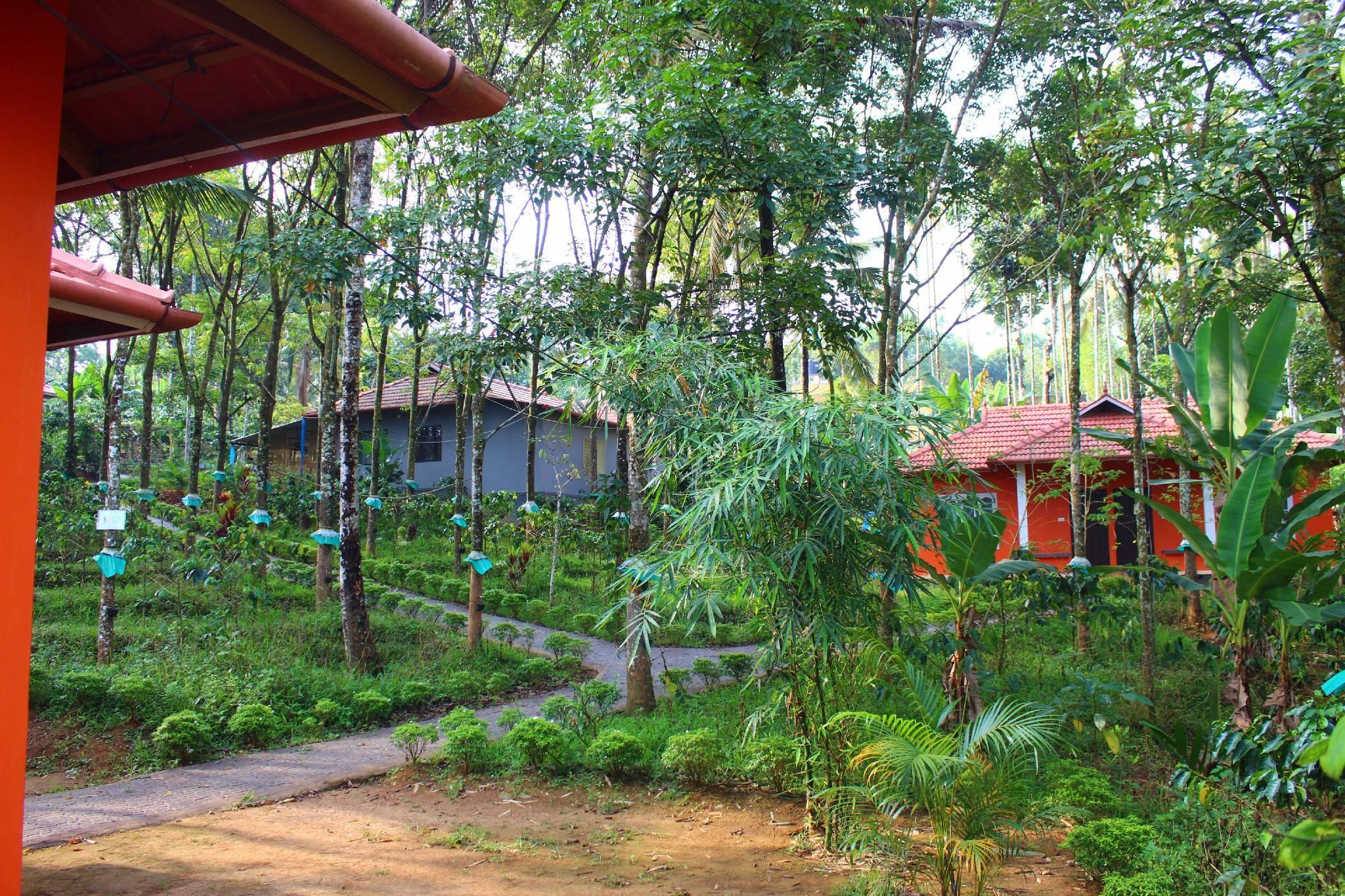 Surrounding environment