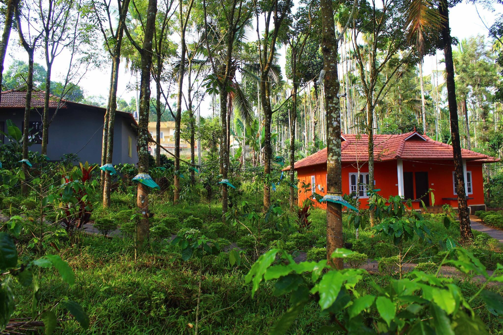 Surrounding environment