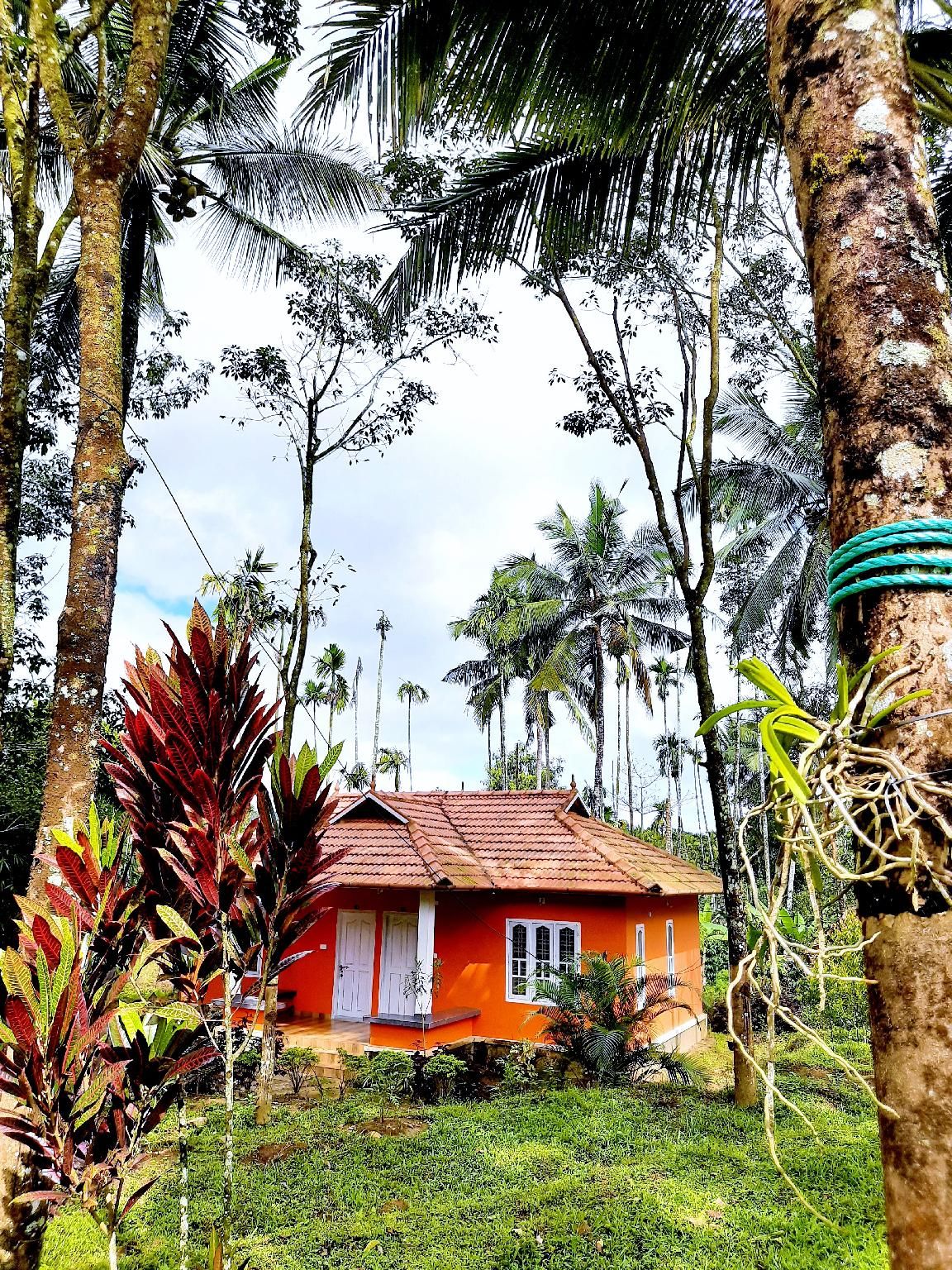 Surrounding environment