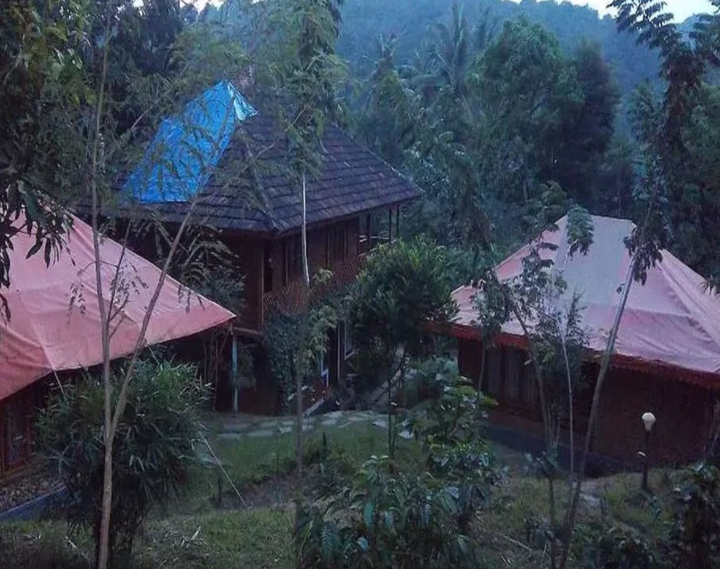 Hotel View