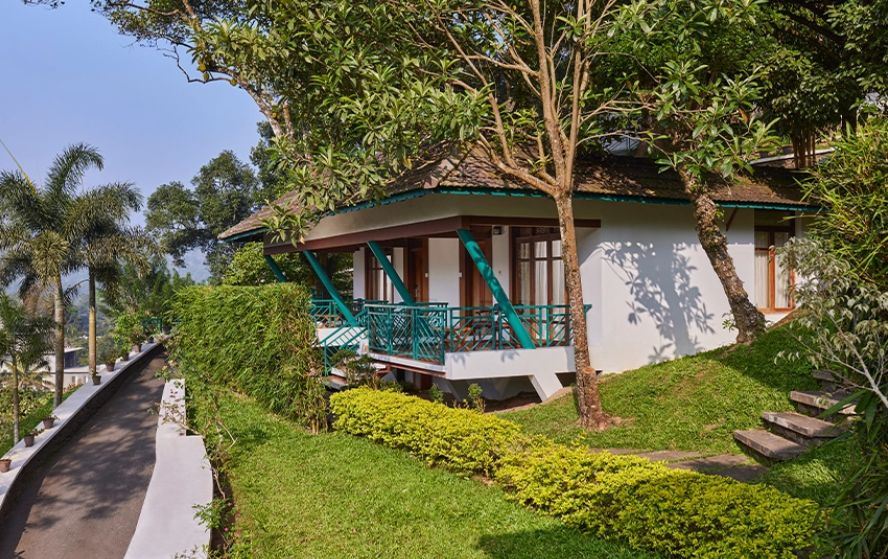 Forest Canopy Tulip Cottage with Balcony 2