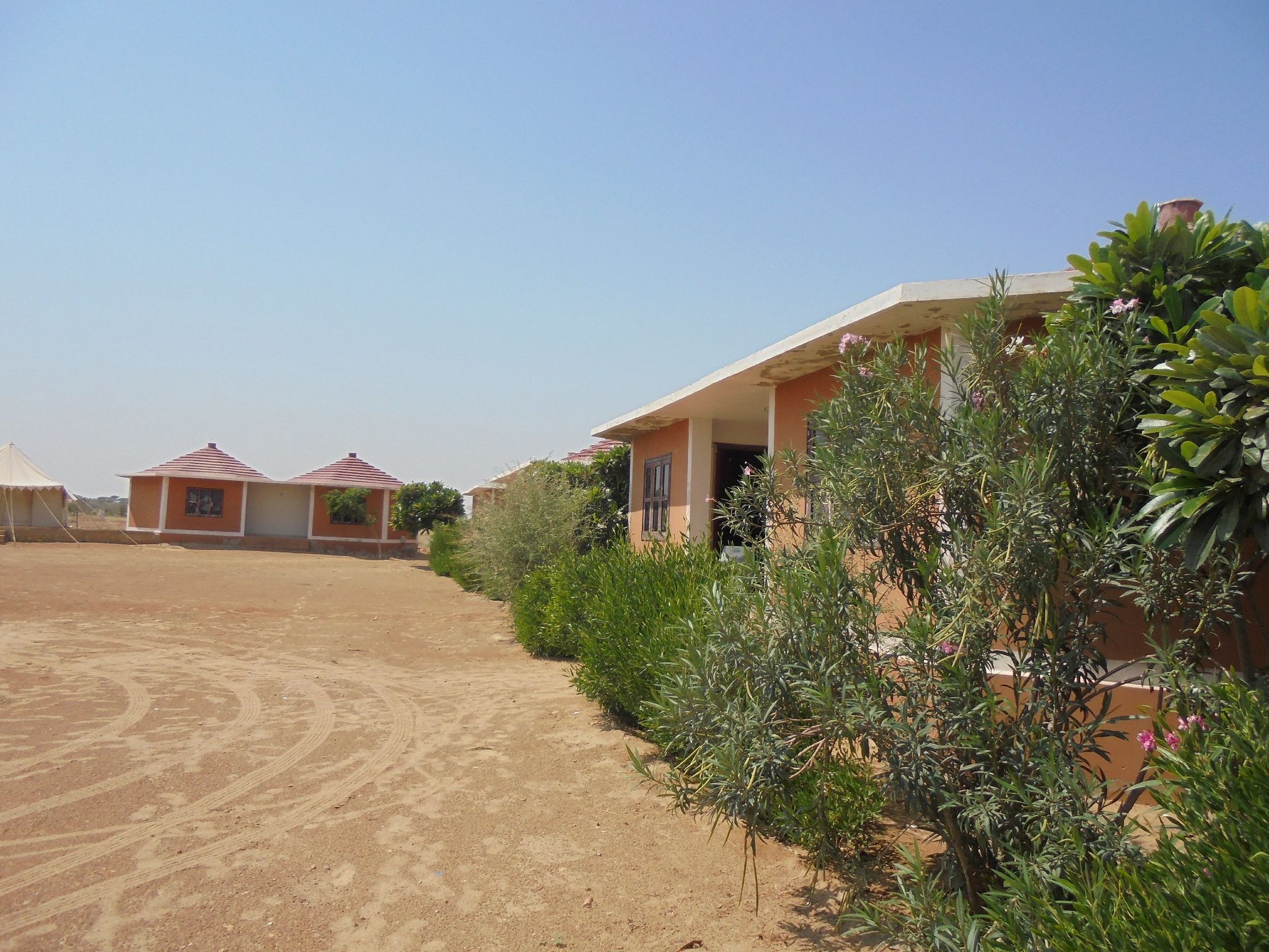 undefined Oasis Camp Sam 9