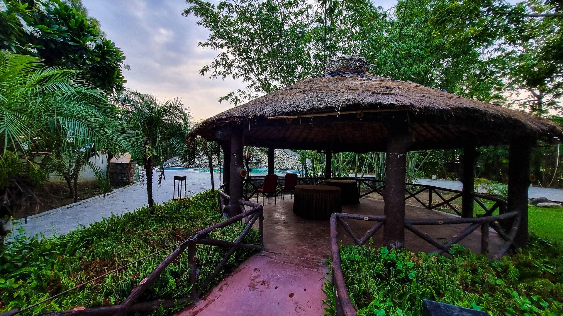 The Roar Resort