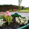 Dun Cromain Bed and Breakfast