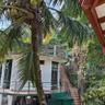 Rainforest Lodge