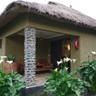 Da Vinci Gorilla Lodge