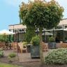 Fletcher Hotel Steenwijk