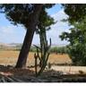 B&B Stazione Dittaino