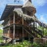 Cotton Tree Lodge