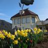 Der Lärchenhof