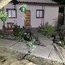 Kololo Bed and Breakfast
