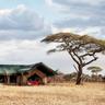 Pumzika Luxury Safari Camp - East Africa Camps