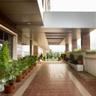 Phlox Hotel