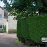 Greywalls Hotel and Chez Roux