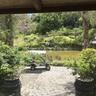 Lakaz Chamarel Exclusive Lodge
