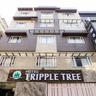 The Triple Tree Hotel 