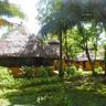 Ankobra Beach Resort
