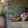 Agriturismo La Casina della Burraia