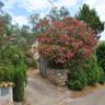 La Casa Dell'artista Between art and Nature